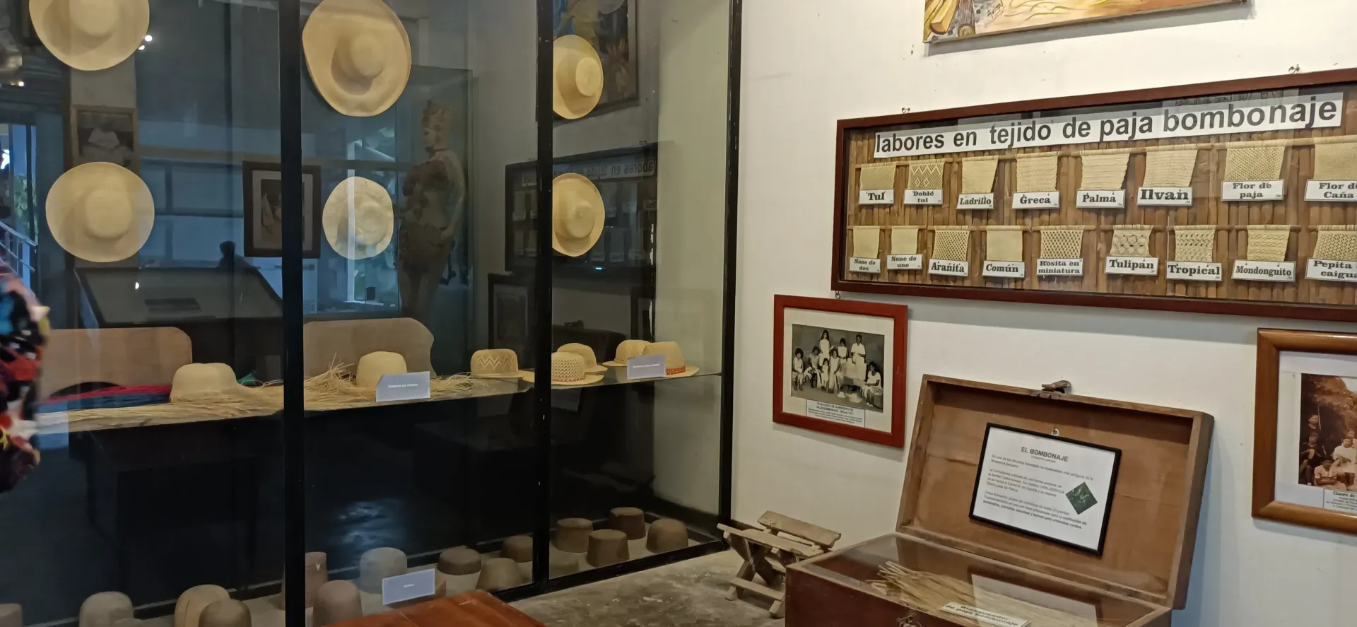Galería foto 8